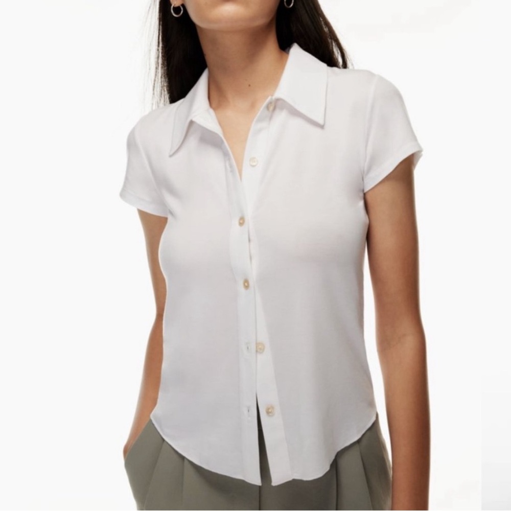 Aritzia Wilfred pose shirt